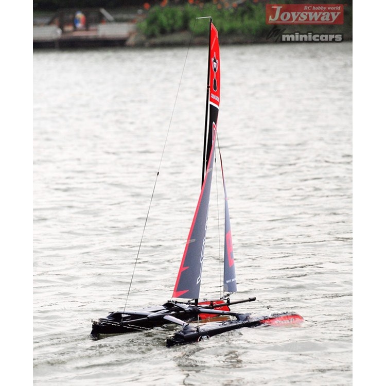 force 2 60 rc catamaran