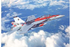 1:48 F/A-18F U.S. Navy Special Colors