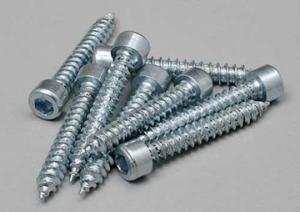 Socket Head Sheet Metal Screw No.4 x 3/4" (8)