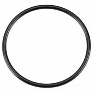 O-Ring (S-36) 75AX