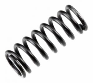 Valve Spring FS?155