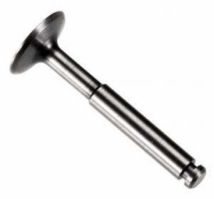 Exhaust Valve FS?-56