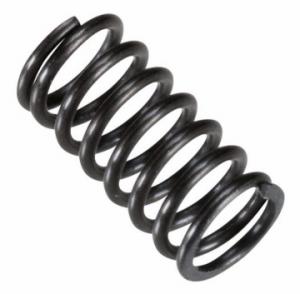 Valve Spring FS?-56