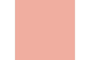 007:Modelcolor 835-17ml. Salmon Rose