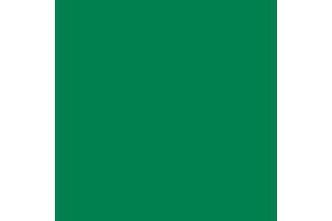 078:Modelcolor 969-17ml. Park Green Flat