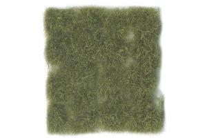 WILD TUFT - DRY GREEN 12 MM