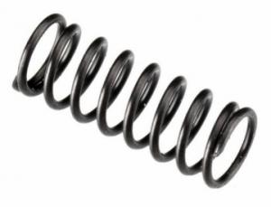 Valve Spring FT160, IL300