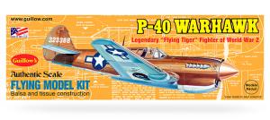 Curtiss P-40 Warhawk model kit