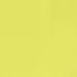 206:Modelcolor 730-17ml. Yellow Fluorescent