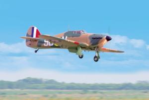 Black Horse Hawker Hurricane ARTF-50-55CCgas