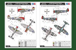 1:48 P-47D Thunderbolt Fighter