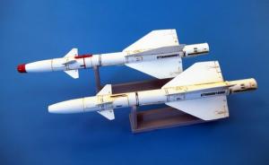 1:48 Missile R-98MT AA-3D Anab