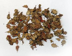 1:35 Leaves - oak