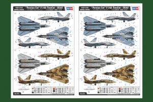 1:48 Persian Cat F-14A TomCat-IRIAF