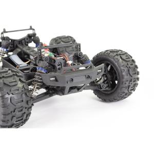 FTX Tracer 1/16 4WD Monster Truck RTR