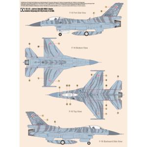 Mistercraft 1/48 F-16CJ-52 "JASTRZAB / HAWK"