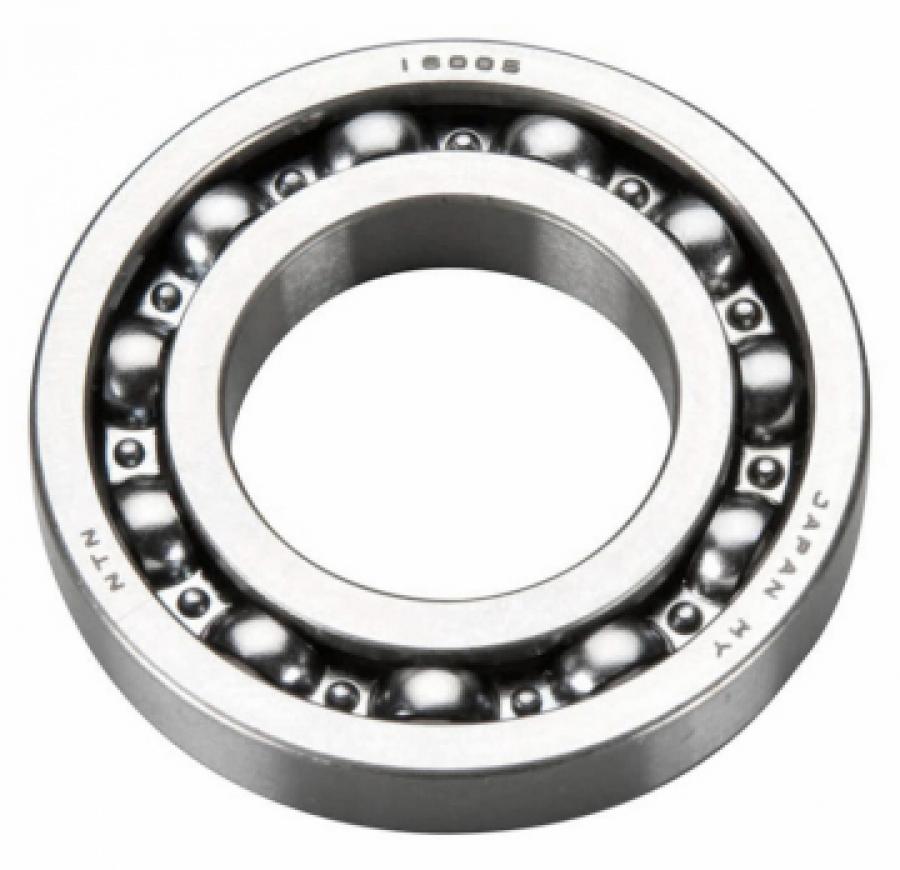 Ball Bearing Rear GT55