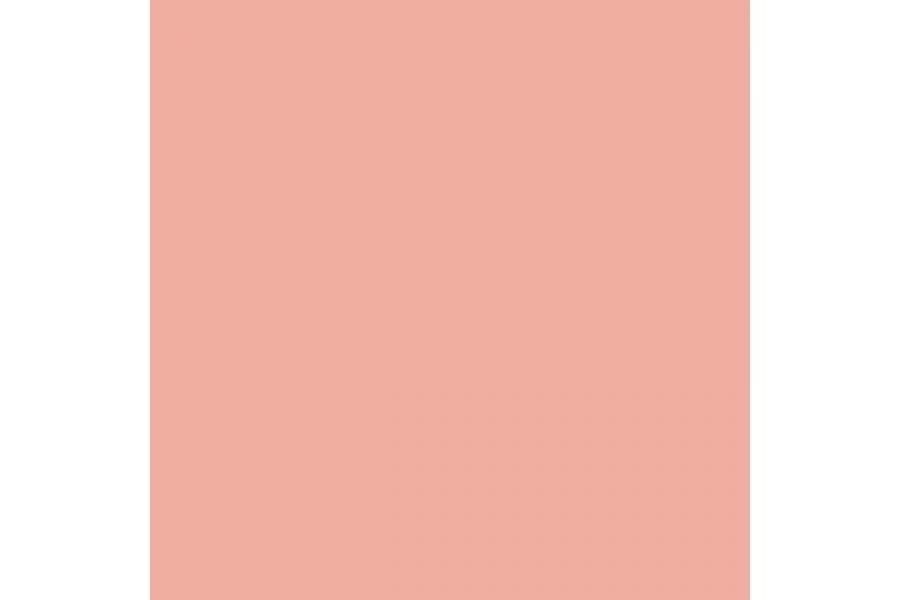 007:Modelcolor 835-17ml. Salmon Rose