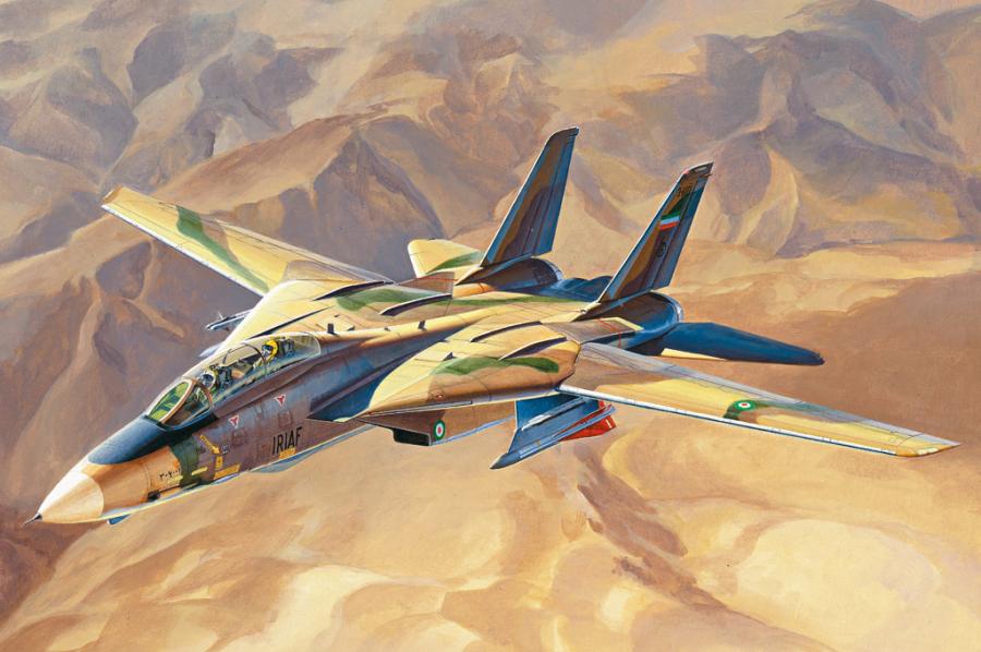 1:48 Persian Cat F-14A TomCat-IRIAF