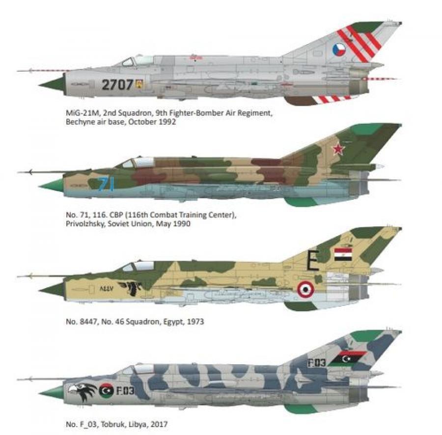 1/100 Snp Mig 21 Bundle Paper Model EcardModels