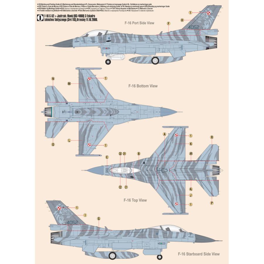 Mistercraft 1/48 F-16CJ-52 "JASTRZAB / HAWK"